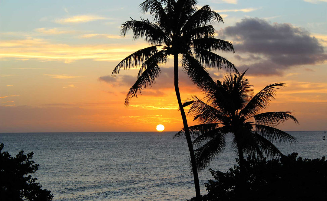 Hibiscus Symbolism: Discover Its Hawaiian Cultural Significance